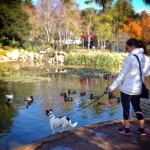 Jake was looking for some duck